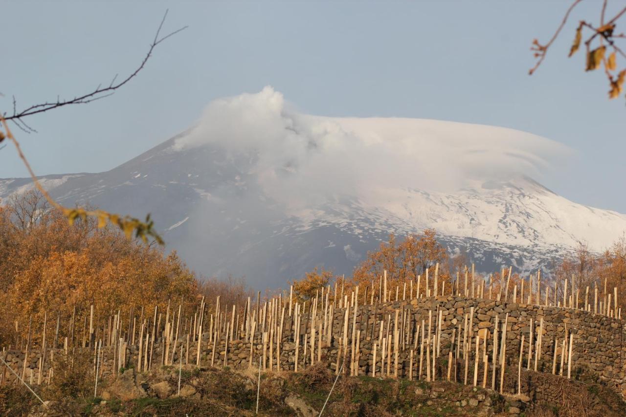 Agriturismo Le Case Del Merlo Milo Buitenkant foto